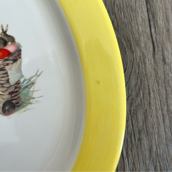 Williams Sonoma Spring Bunny Plates - Picture 6 of 15